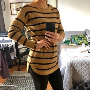Striped Raglan Knit Pullover